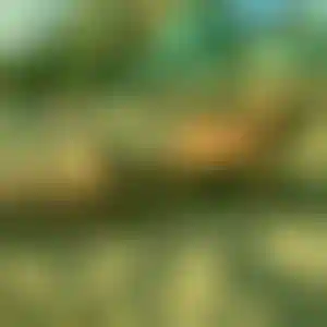 Foto von Josefine