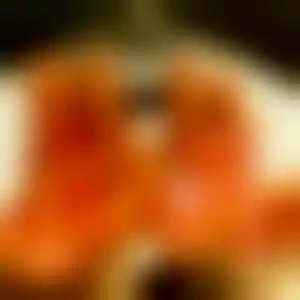 Foto von Kerstin