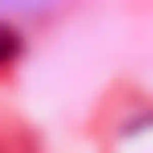 Foto von Sophie