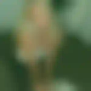 Foto von Regine