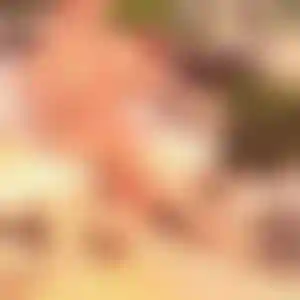 Foto von Stella