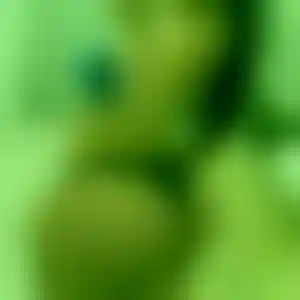 Foto von Elke