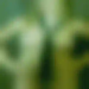 Foto von Gabriele