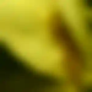 Foto von Anita