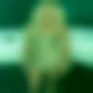 Foto von Hanna