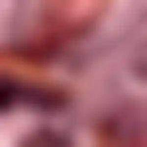 Foto von Elisabeth