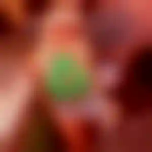 Foto von Nora