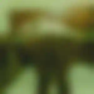 Foto von Zoe