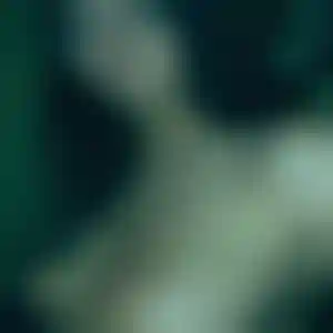 Foto von Ursula