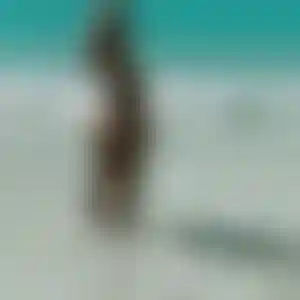 Foto von Stella