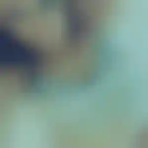 Foto von Carina