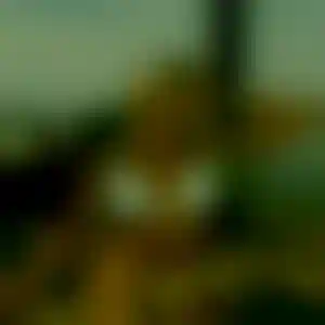 Foto von Sophie