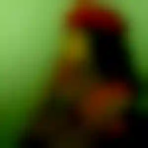 Foto von Chiara