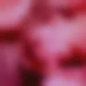 Foto von Silke