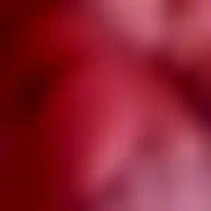 Foto von Grit