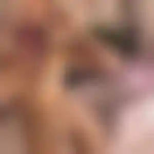 Foto von Lisa