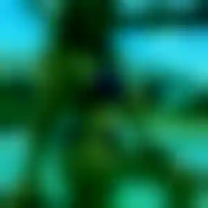 Foto von Chiara