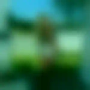 Foto von Jasmin