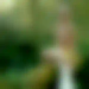 Foto von Stefanie