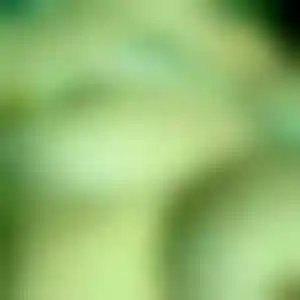 Foto von Annette