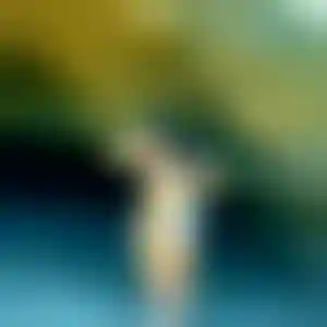 Foto von Hanna