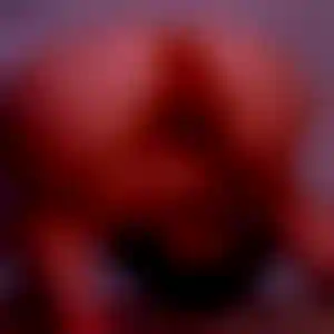 Foto von Carolin