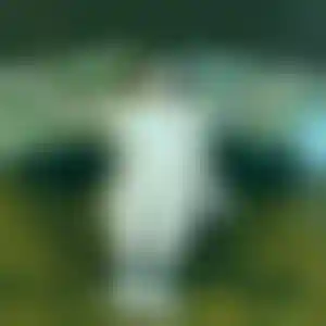 Foto von Kerstin