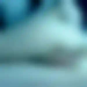 Foto von Anke