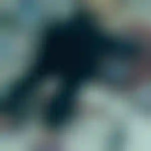Foto von Andrea