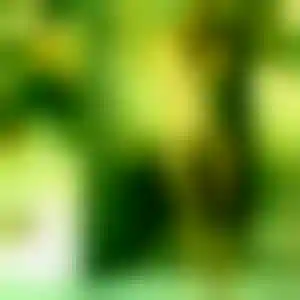 Foto von Carolin