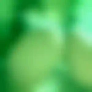 Foto von Silke