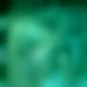 Foto von Nicole