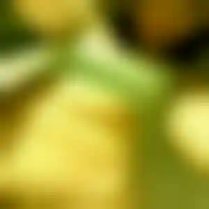 Foto von Diana