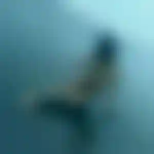 Foto von Pia