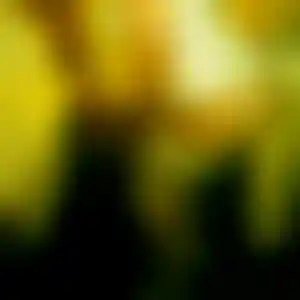 Foto von Anna