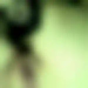 Foto von Nadine
