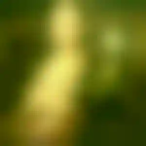 Foto von Astrid