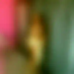 Foto von Nele