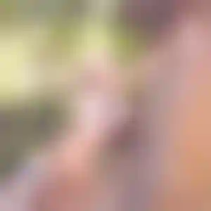Foto von Silke