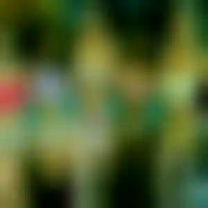 Foto von Lisa