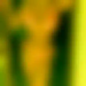 Foto von Christiane