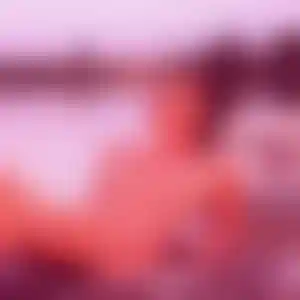 Foto von Dagmar