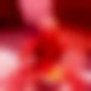 Foto von Alina