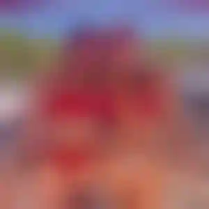 Foto von Carolin