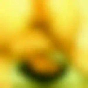 Foto von Chiara