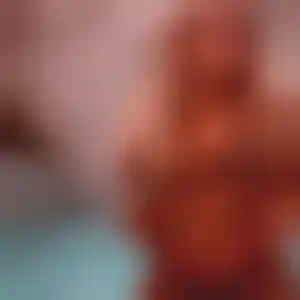 Foto von Beate