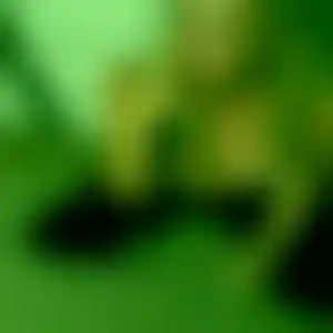 Foto von Chiara