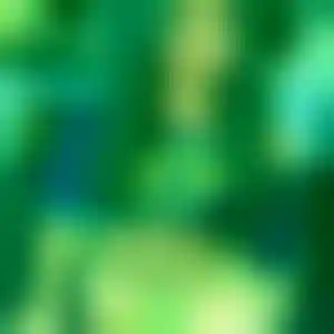 Foto von Silke