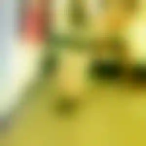 Foto von Iris