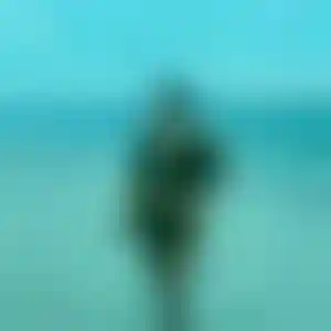 Foto von Jule